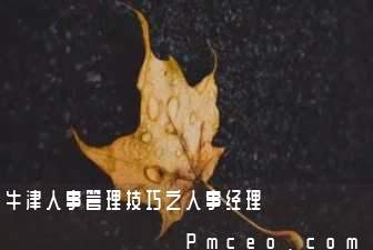 牛津人事管理技巧之人事经理 牛津人事管理技巧之人事经理
