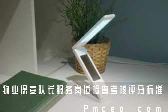 物业保安队长服务岗位检查考核评分标准 物业保安队长服务岗位检查考核评分标准