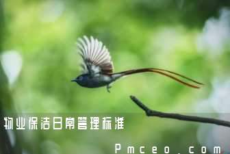 物业保洁日常管理标准 物业保洁日常管理标准