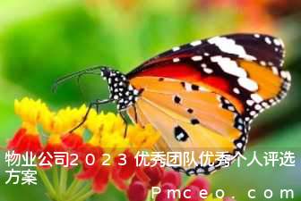 物业公司2023优秀团队优秀个人评选方案 物业公司2023优秀团队优秀个人评选方案