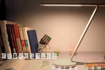 物业公司特色服务项目 物业公司特色服务项目