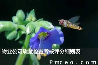 物业公司质量检查考核评分细则表 物业公司质量检查考核评分细则表