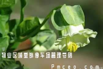 物业区域室外停车场管理守则 物业区域室外停车场管理守则