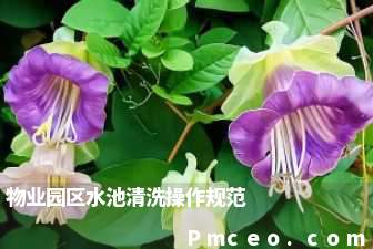 物业园区水池清洗操作规范 物业园区水池清洗操作规范