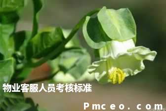 物业客服人员考核标准 物业客服人员考核标准