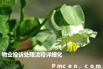 物业投诉处理流程详细化 物业投诉处理流程详细化