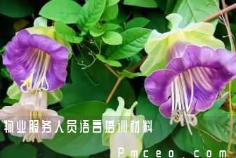 物业服务人员语言培训材料 物业服务人员语言培训材料
