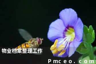 物业档案整理工作 物业档案整理工作
