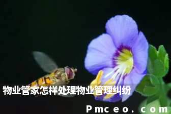 物业管家怎样处理物业管理纠纷 物业管家怎样处理物业管理纠纷
