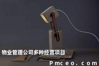 物业管理公司多种经营项目 物业管理公司多种经营项目