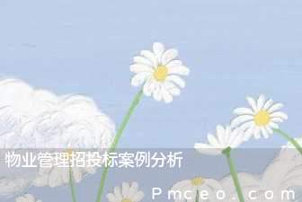 物业管理招投标案例分析 物业管理招投标案例分析