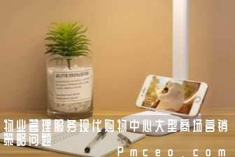 物业管理服务现代购物中心大型商场营销策略问题 物业管理服务现代购物中心大型商场营销策略问题