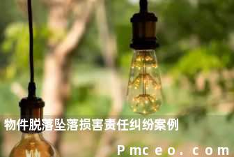 物件脱落坠落损害责任纠纷案例 物件脱落坠落损害责任纠纷案例