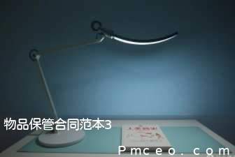 物品保管合同范本3 物品保管合同范本3