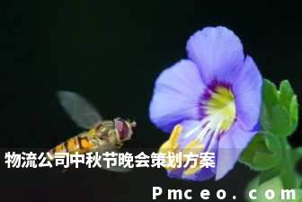 物流公司中秋节晚会策划方案 物流公司中秋节晚会策划方案