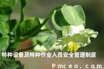 特种设备及特种作业人员安全管理制度 特种设备及特种作业人员安全管理制度