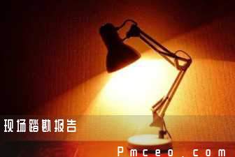 现场踏勘报告 现场踏勘报告
