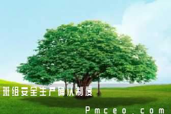 班组安全生产确认制度 班组安全生产确认制度