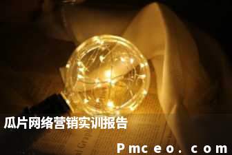 瓜片网络营销实训报告 瓜片网络营销实训报告