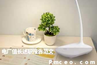 电厂值长述职报告范文 电厂值长述职报告范文
