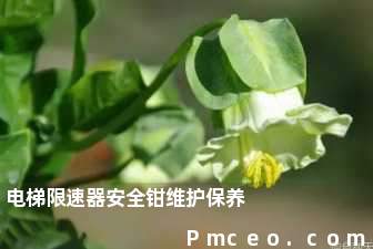 电梯限速器安全钳维护保养 电梯限速器安全钳维护保养