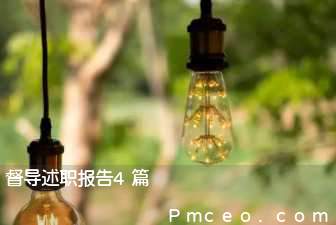 督导述职报告4篇 督导述职报告4篇