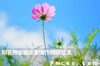 知名物业副总管操作规程范文 知名物业副总管操作规程范文