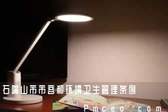 石嘴山市市容和环境卫生管理条例 石嘴山市市容和环境卫生管理条例