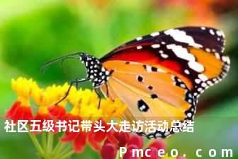 社区五级书记带头大走访活动总结 社区五级书记带头大走访活动总结