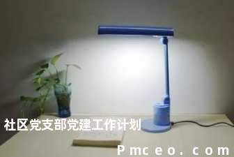 社区党支部党建工作计划 社区党支部党建工作计划
