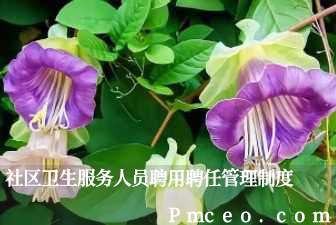 社区卫生服务人员聘用聘任管理制度 社区卫生服务人员聘用聘任管理制度