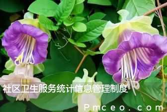 社区卫生服务统计信息管理制度 社区卫生服务统计信息管理制度