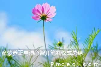 童蒙养正启迪心智开笔礼仪式总结 童蒙养正启迪心智开笔礼仪式总结
