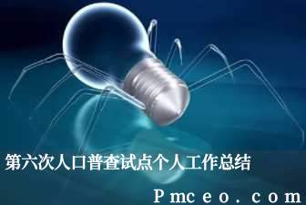 第六次人口普查试点个人工作总结 第六次人口普查试点个人工作总结