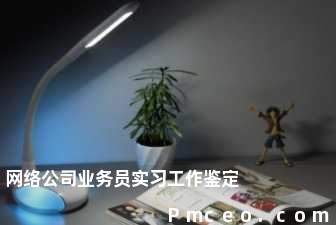 网络公司业务员实习工作鉴定 网络公司业务员实习工作鉴定