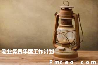 老业务员年度工作计划 老业务员年度工作计划
