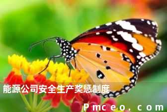 能源公司安全生产奖惩制度 能源公司安全生产奖惩制度
