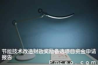节能技术改造财政奖励备选项目资金申请报告 节能技术改造财政奖励备选项目资金申请报告
