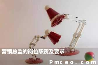 营销总监的岗位职责及要求 营销总监的岗位职责及要求