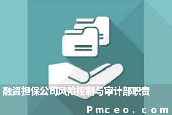 融资担保公司风险控制与审计部职责 融资担保公司风险控制与审计部职责