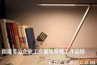 街道非公企业工会属地管理工作总结 街道非公企业工会属地管理工作总结