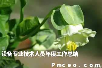设备专业技术人员年度工作总结 设备专业技术人员年度工作总结