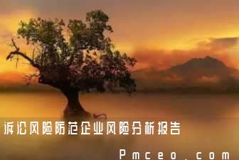 诉讼风险防范企业风险分析报告 诉讼风险防范企业风险分析报告
