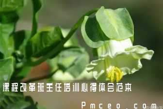课程改革班主任培训心得体会范本 课程改革班主任培训心得体会范本