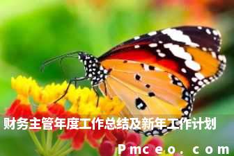 财务主管年度工作总结及新年工作计划 财务主管年度工作总结及新年工作计划