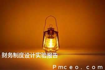 财务制度设计实验报告 财务制度设计实验报告