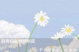 财务档案管理制度 财务档案管理制度