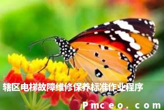 辖区电梯故障维修保养标准作业程序 辖区电梯故障维修保养标准作业程序