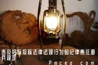 违反招标投标法律法规行为的纪律责任追究规定 违反招标投标法律法规行为的纪律责任追究规定