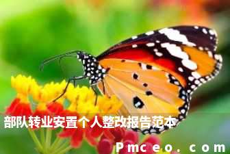 部队转业安置个人整改报告范本 部队转业安置个人整改报告范本